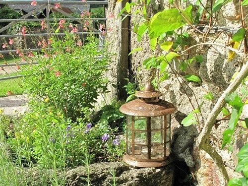 Lowertown Farm B&B Widecombe in the Moor Esterno foto