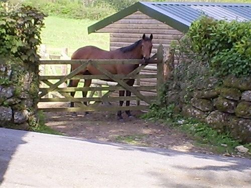 Lowertown Farm B&B Widecombe in the Moor Esterno foto